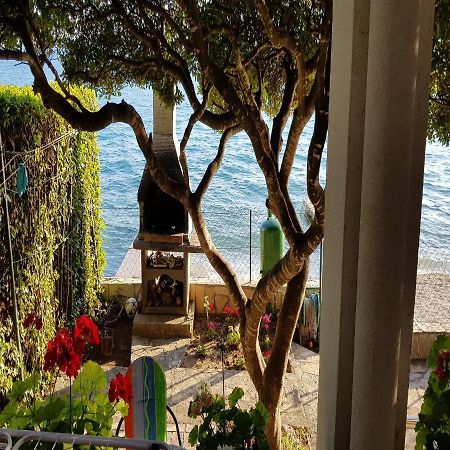 Apartman Andrija Bibinje Dış mekan fotoğraf