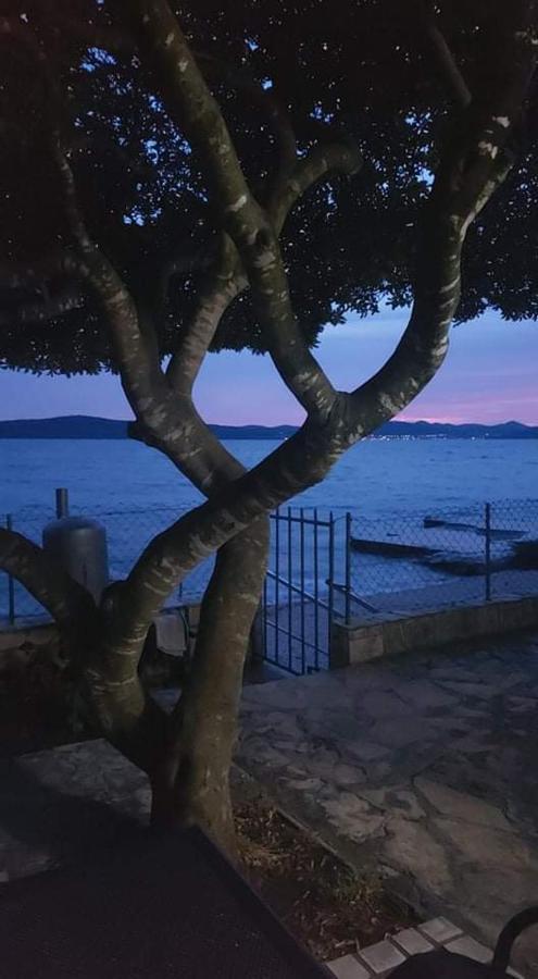 Apartman Andrija Bibinje Dış mekan fotoğraf